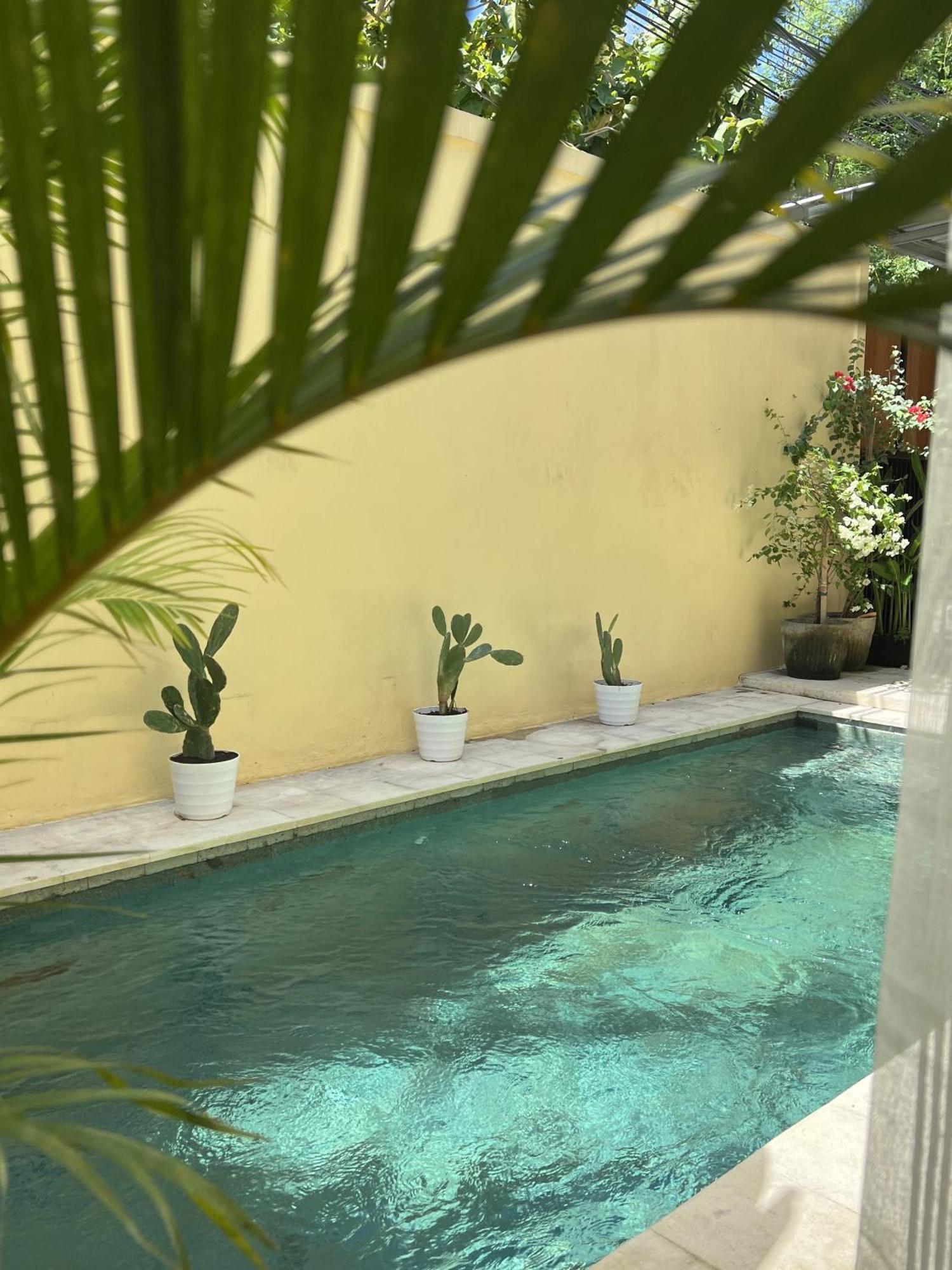 Rumah liburan Kazane Tropical